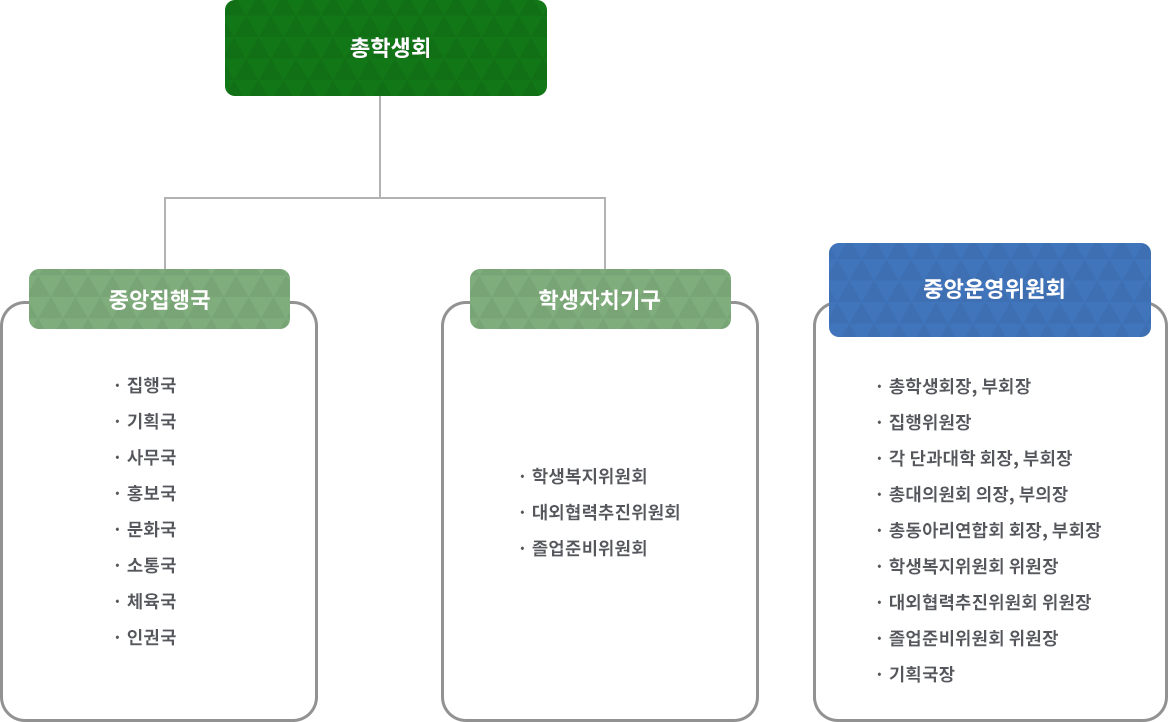 총학생회 아래 중앙위원회 회의 아래 중앙운영위원회(각 단대회장/부회장, 동아리 총연합회장/부회장, 기획국장, 집행위원장, 총대위원 회의장/부의장, 졸업 준비 위원회 위원장, 학생복지위원회 위원장, 대외협력 추진위원회 위원장), 중앙집행국(집행국, 기획국, 사무국, 문화국, 학술국, 체육국, 여성국, 홍보국), 학생자치기구(졸업 준비 위원회, 학생복지위원회, 대외협력추진위원회)가 있다.